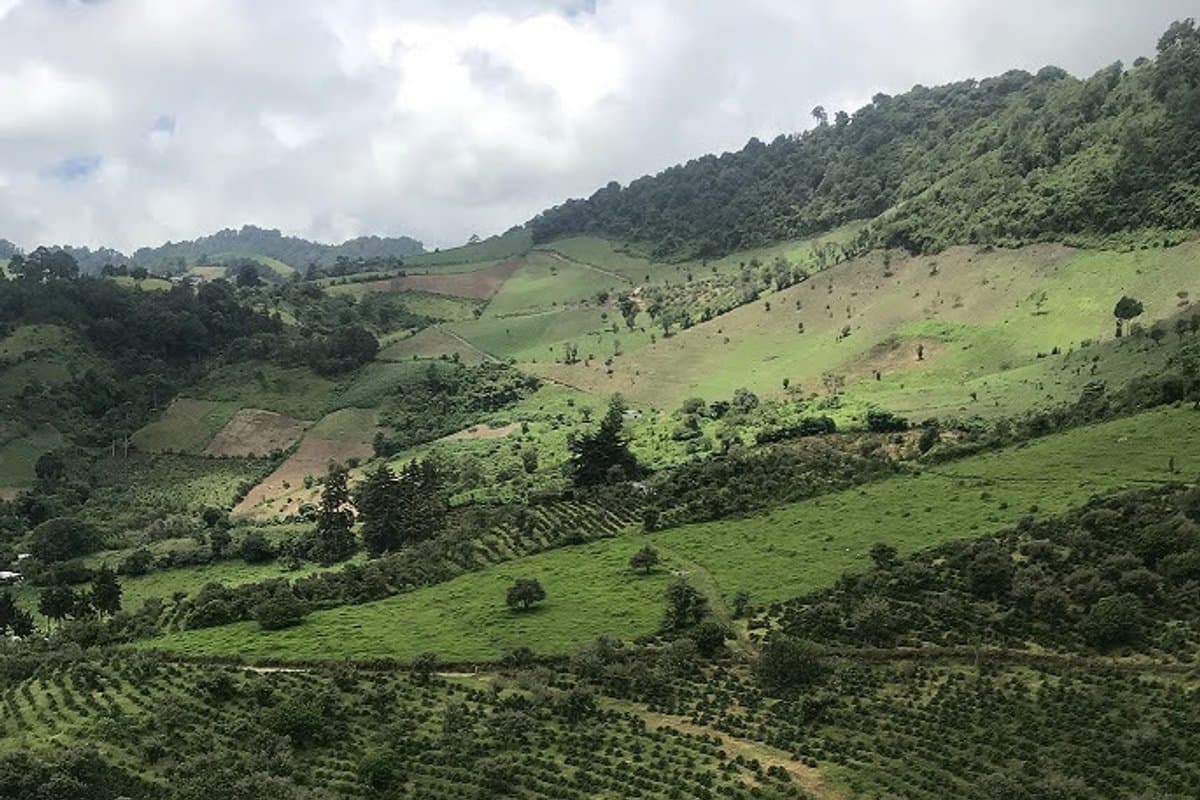 Guatemala El Socorro — origin photo